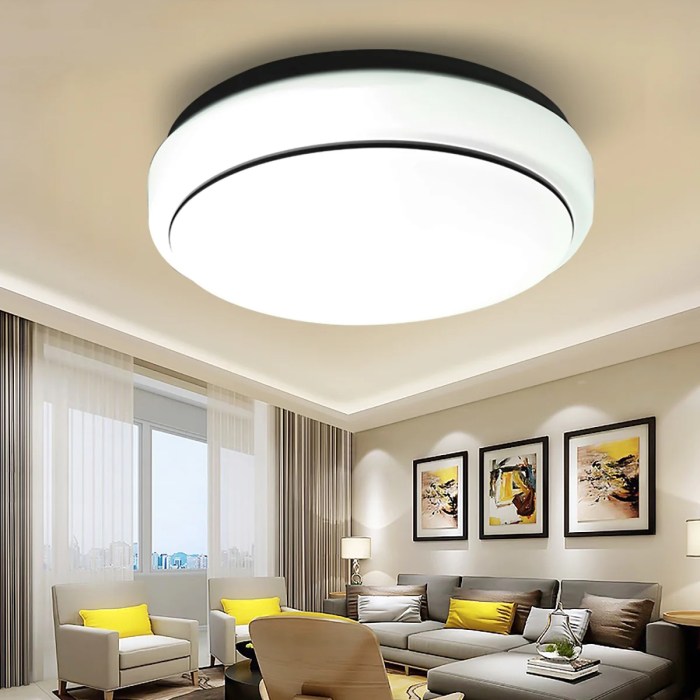 Ceiling decoration around light fixture